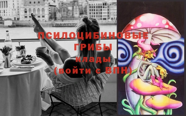 ALPHA PVP Алексин