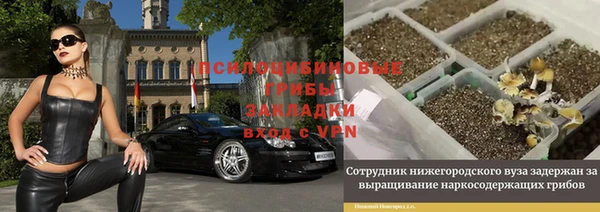 мяу мяу мука Алексеевка